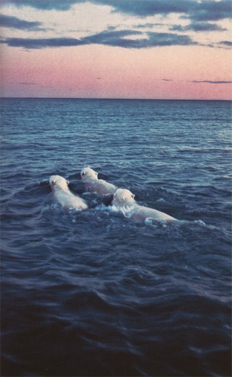 Эди Леонов | Ростов-на-Дону