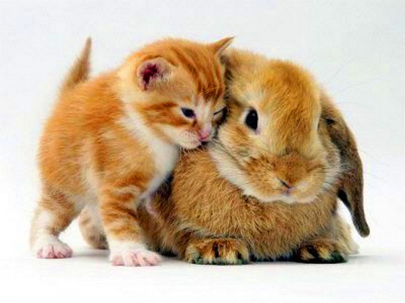 №13, Андрей Мороз №13, Андрей Мороз