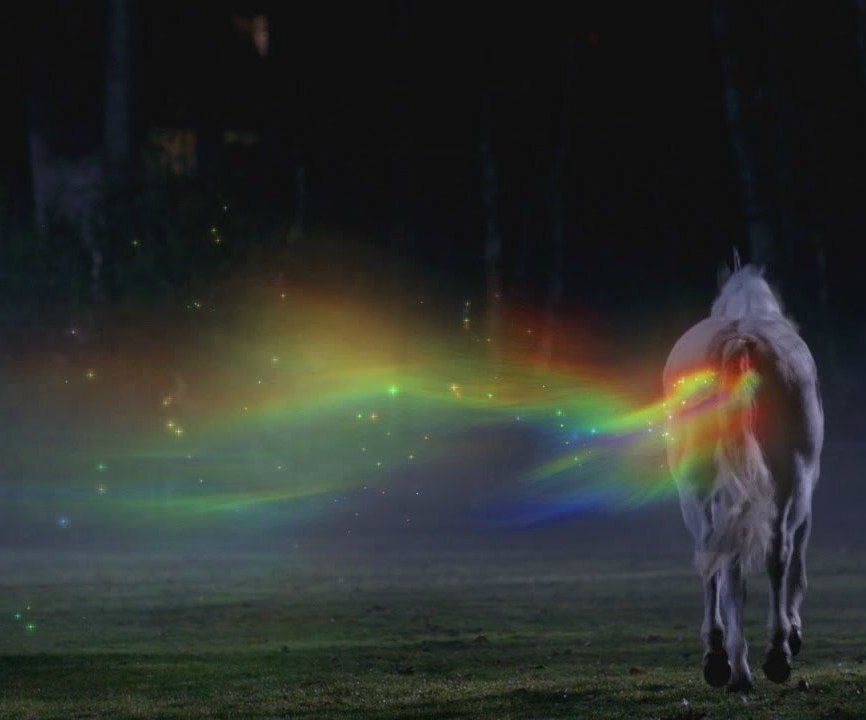 Елена Зоря | Ижевск