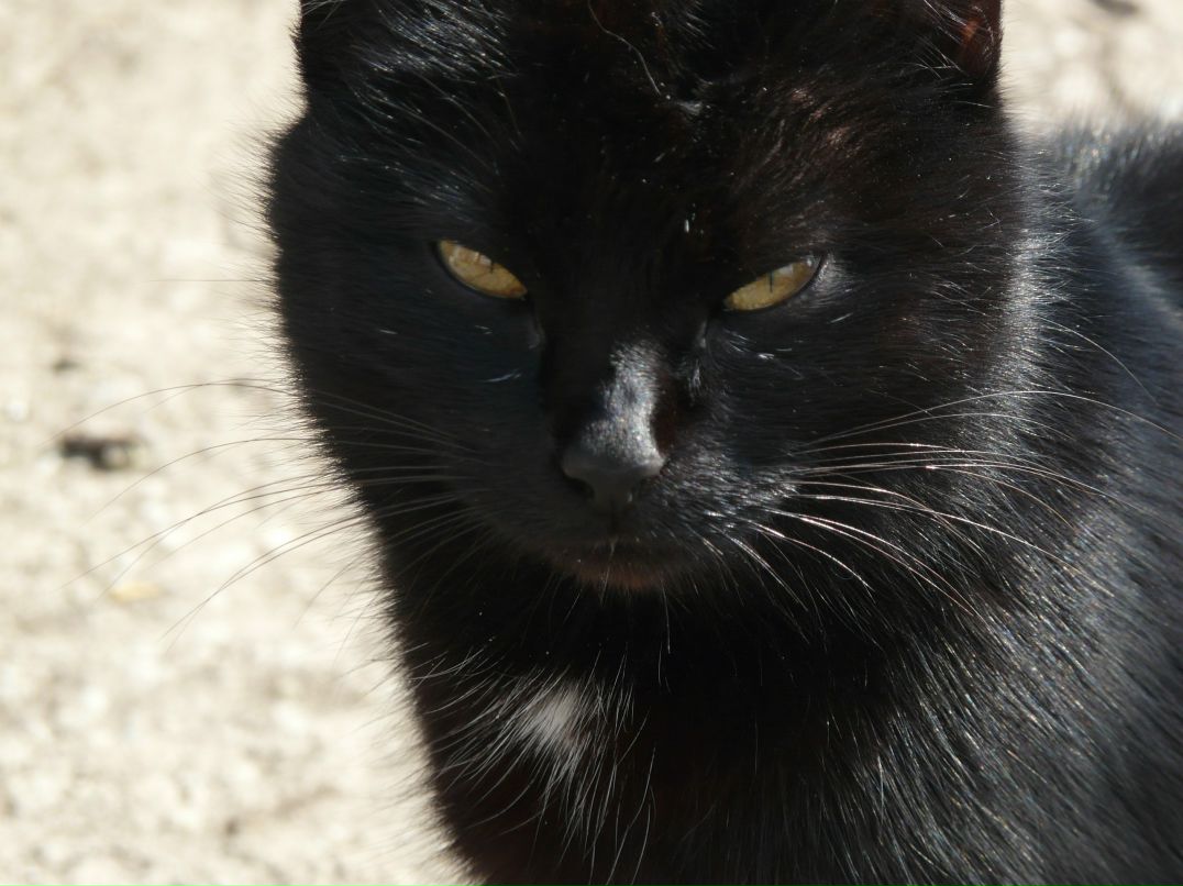 Елена Ус | Киев