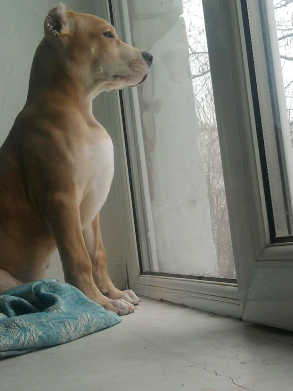 Максим Петренко Николаевич | Новая Каховка