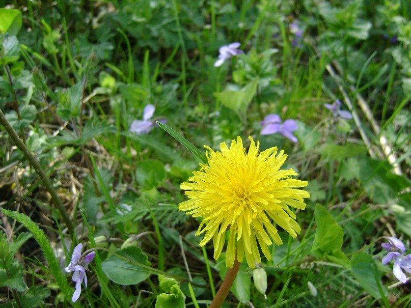 Юра Чаплицький | Острожец