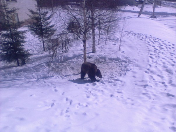 №10, Светлана Васильева №10, Светлана Васильева