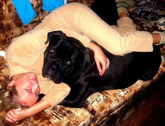 №58, Светлана Краснова, Нижний Новгород №58, Светлана Краснова, Нижний Новгород