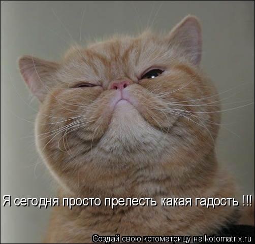 №23, Александр Свистунов, 43 года, Одесса №23, Александр Свистунов, 43 года, Одесса