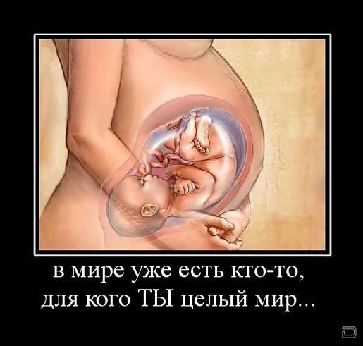 №59, Алеська Поляк, 25.4, Минск №59, Алеська Поляк, 25.4, Минск