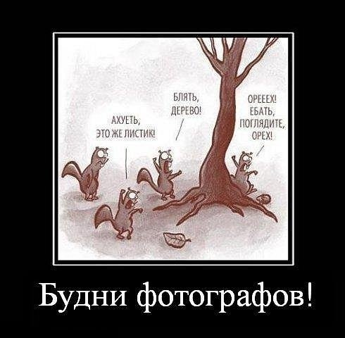 №52, Степан Поросов, Екатеринбург №52, Степан Поросов, Екатеринбург