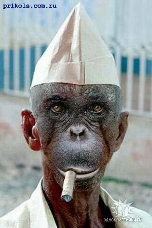 Сергей Лисин | Семенов