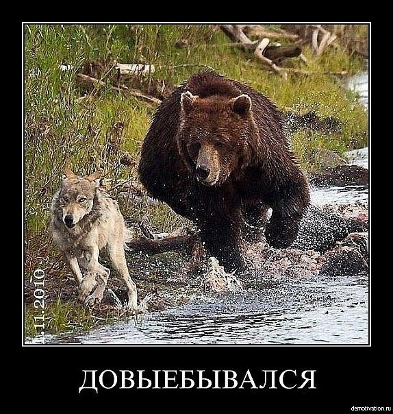 Юрий Ибраев | Кемерово