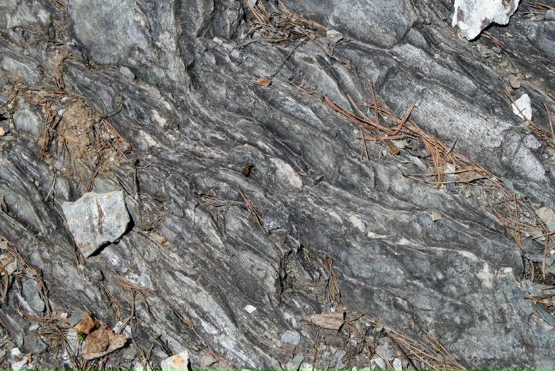 Глоба Малахова | Екатеринбург