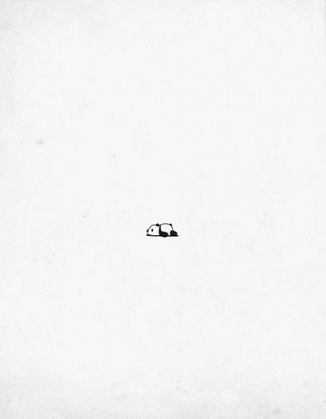 Антон Чесноков | Томск