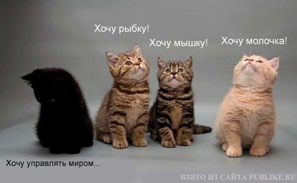 Светлана Михайлова | Regensburg