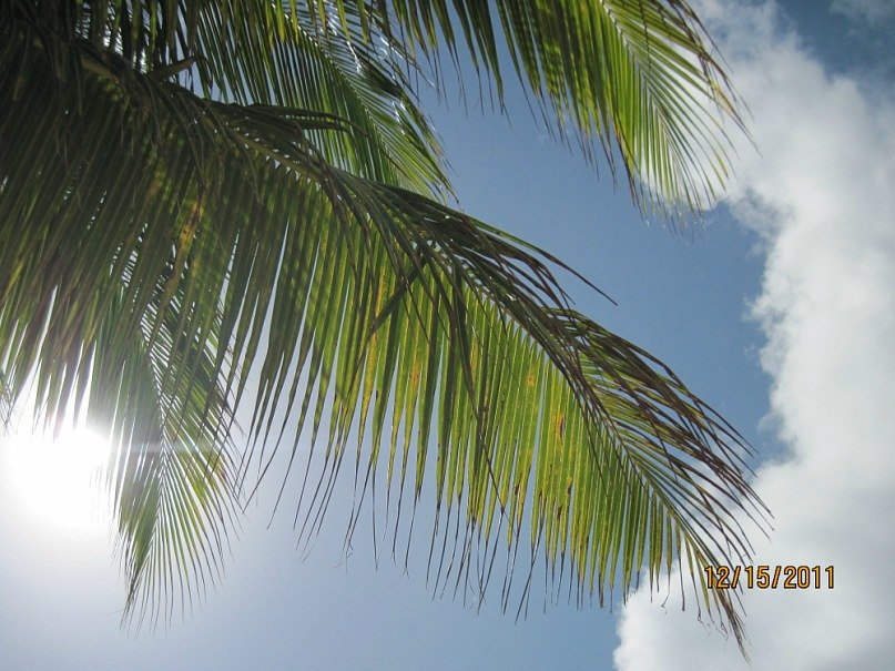 Натуха Мельник | Ровно