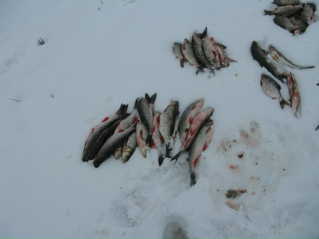 Стас Дюдюн | Луганск