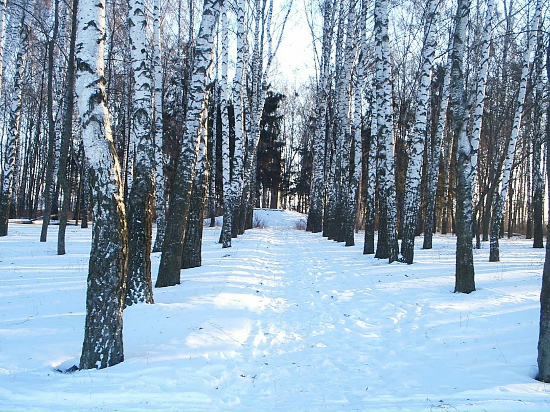 Юрий Исаев | Карамышево