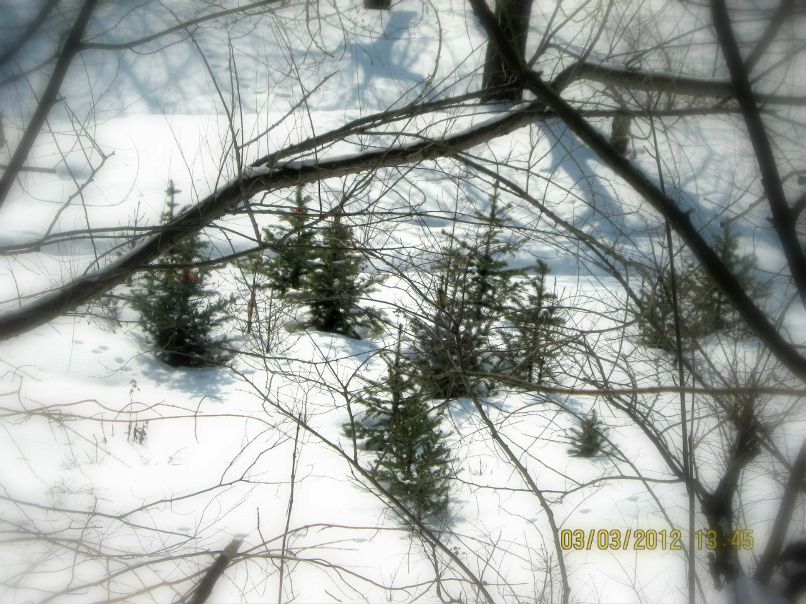 Юлия Горожанкина | Воронеж