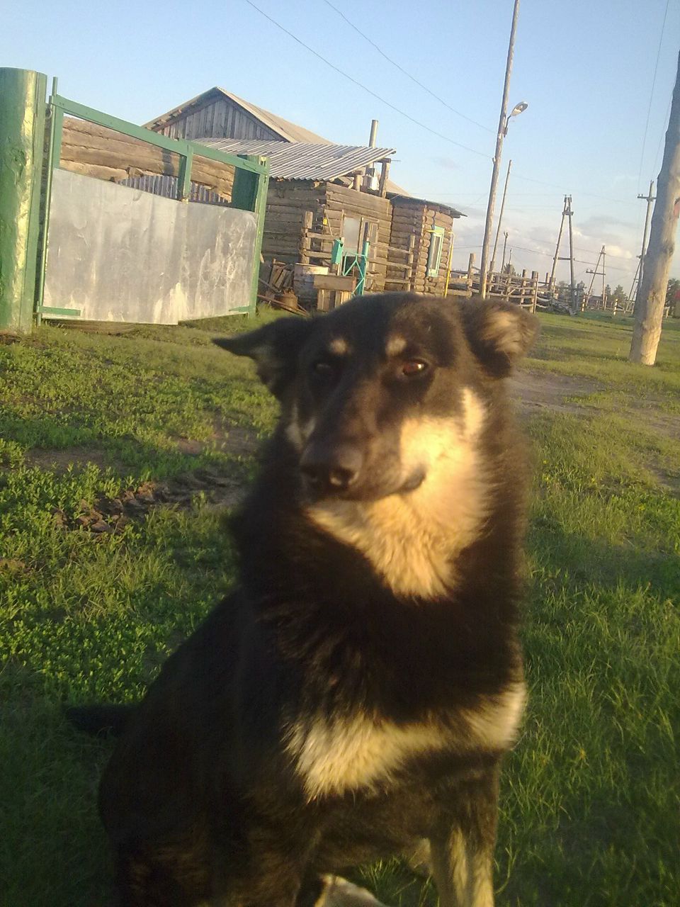 Павел Петров [nIkto] | Якутск