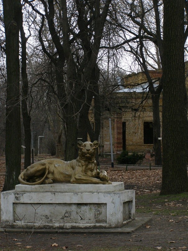 Татьяна Пашолок | Одесса