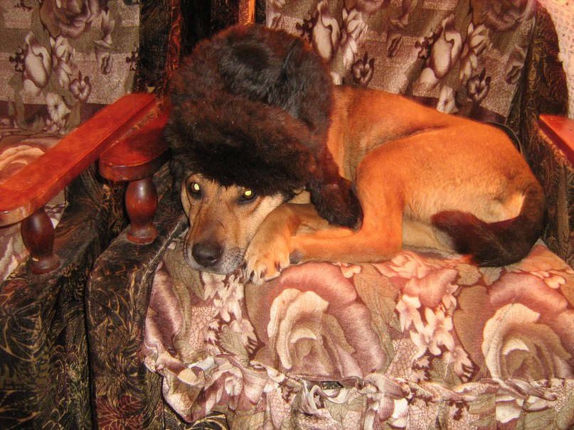 Роман Субботин | Карагай