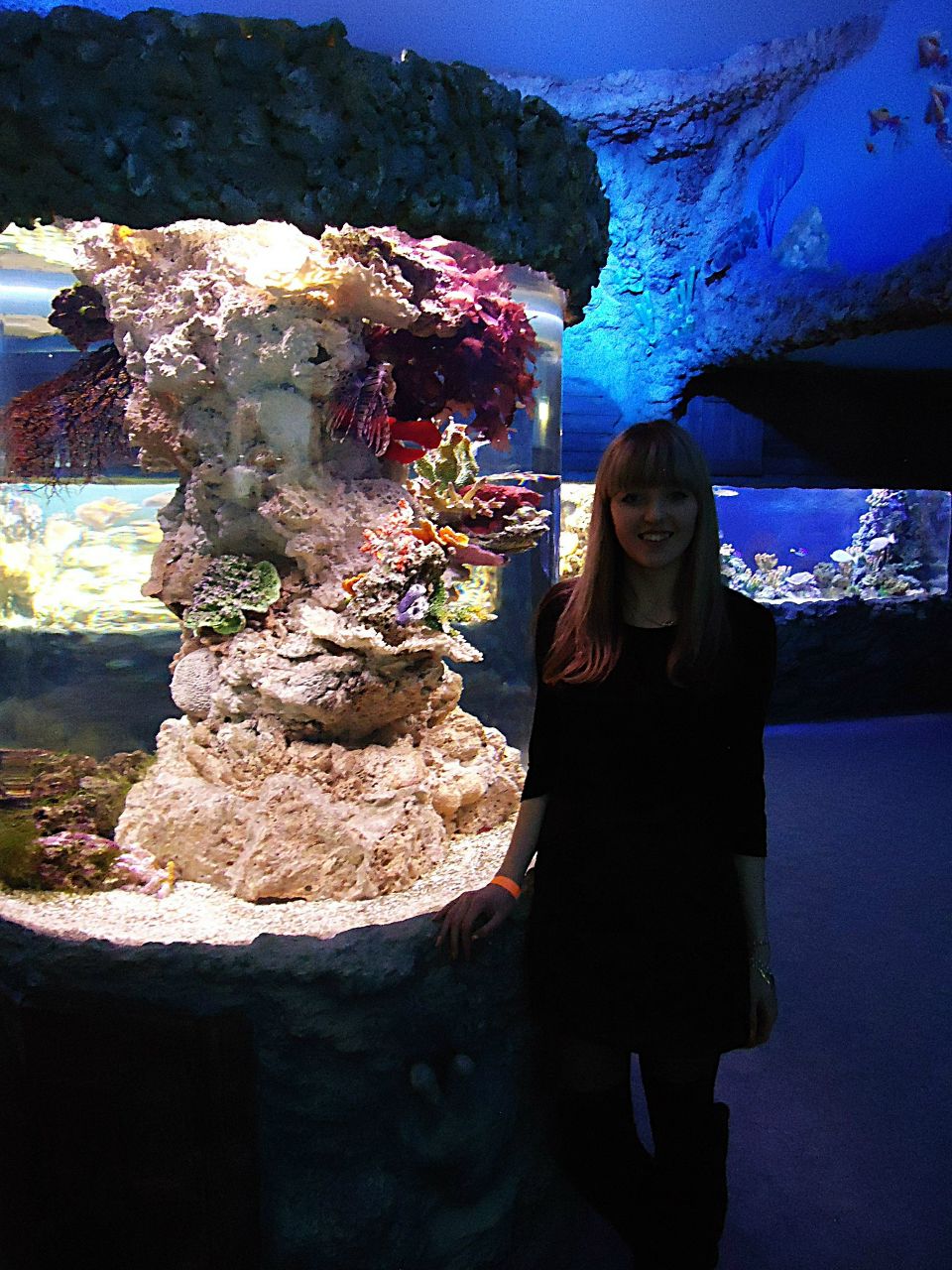 Екатерина Гольцова | 