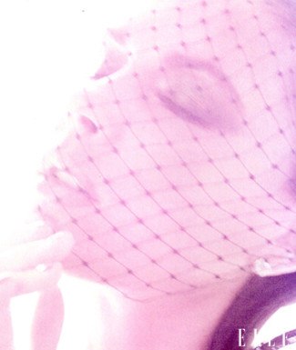 Кристина Шаповалова | Киев