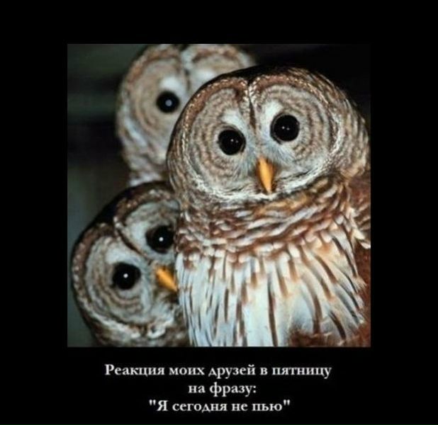 №24, Андрей Соловьёв, Москва №24, Андрей Соловьёв, Москва