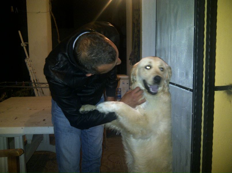 Динчэр Айдын | Bodrum