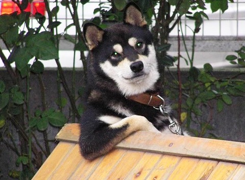 №41, Юрий Булычев, Днепр (Днепропетровск) №41, Юрий Булычев, Днепр (Днепропетровск)