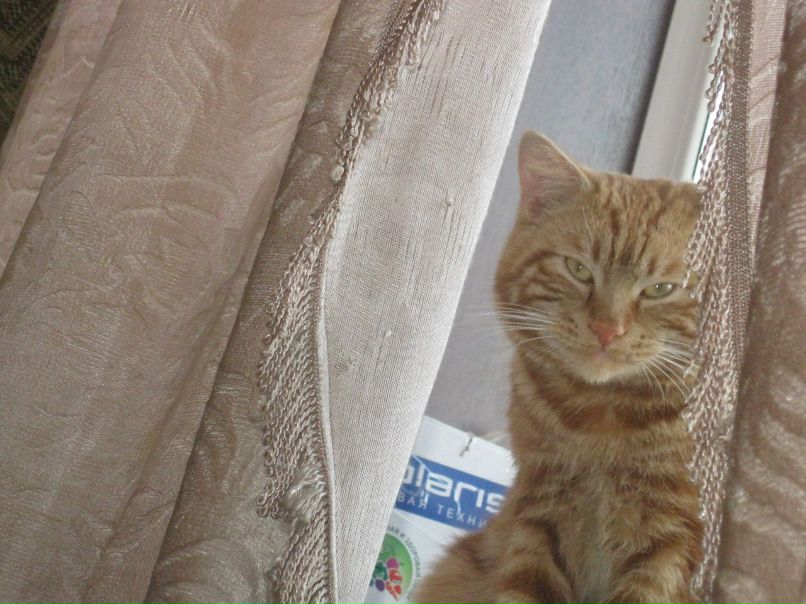 Лилия Третьякова | Москва