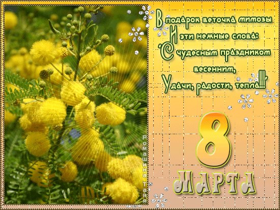 Мария Данова | Харьков