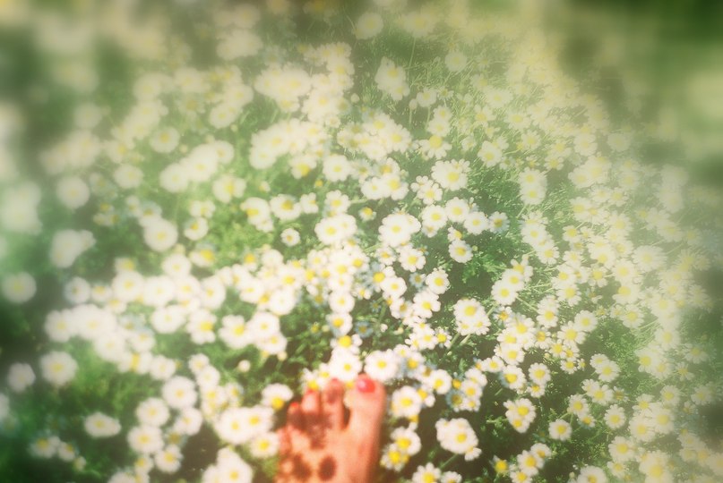 Alla Bykva लक्ष्मी | Киев