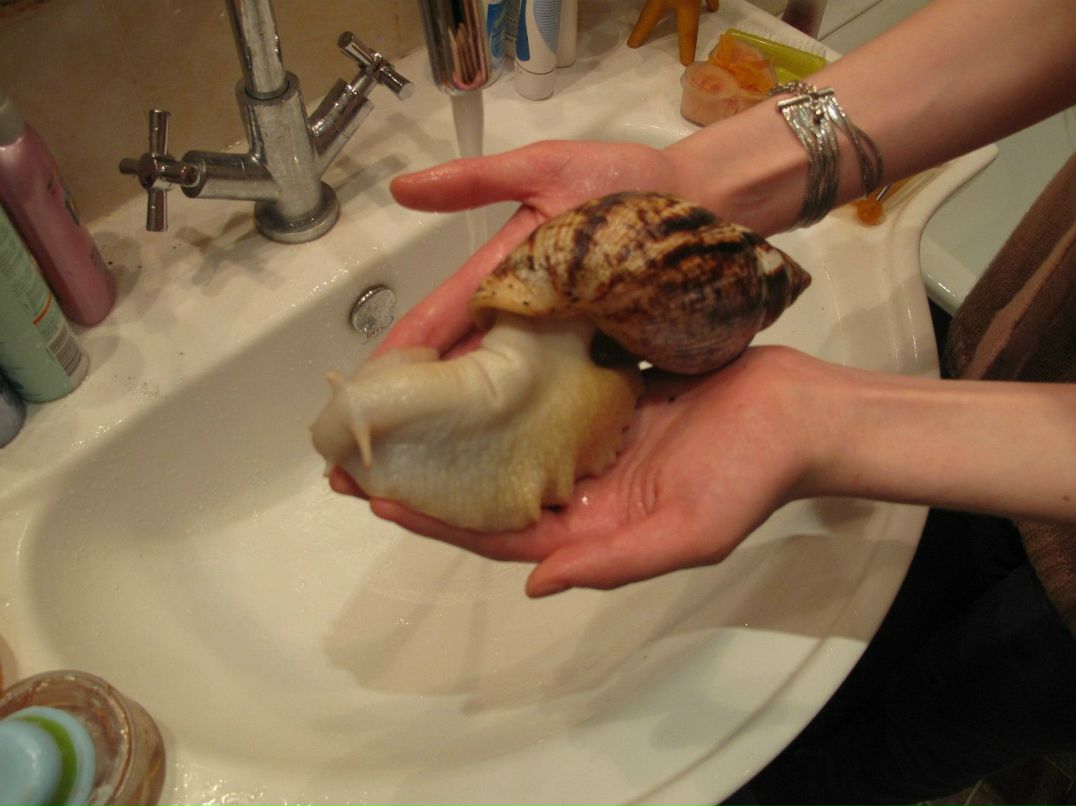 Ольга Пащенко | Москва