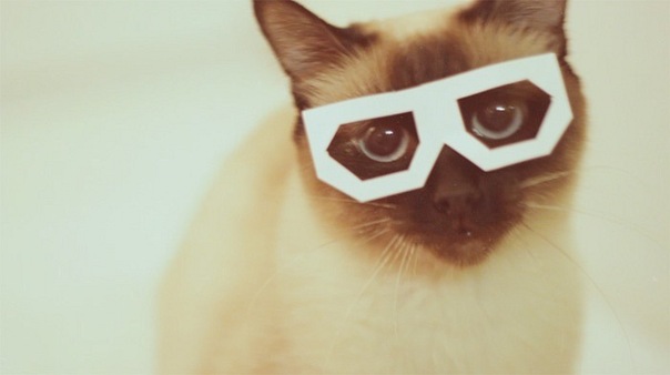 №2, Костя Пустынников №2, Костя Пустынников