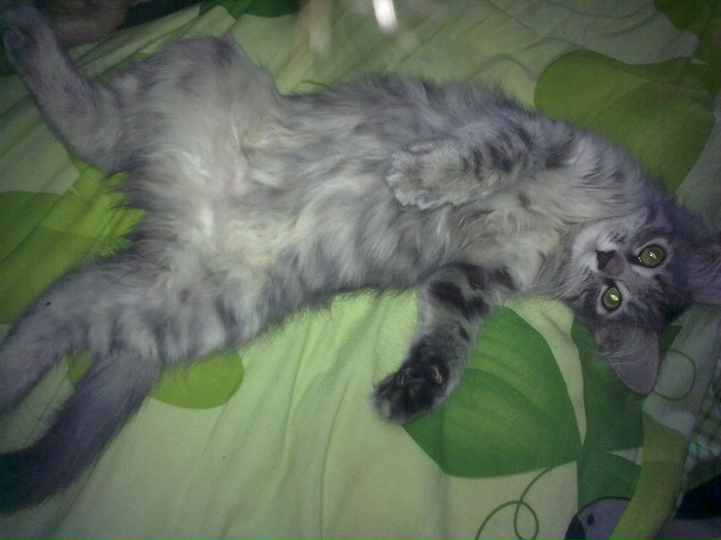 Катюшка Андрияшина | Казань