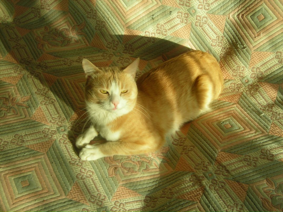 Александр Нечкин | Верхняя Салда