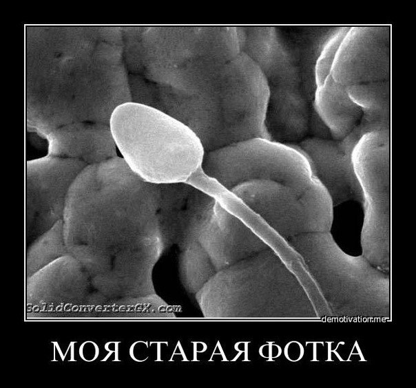 Алексей Соколов | Кострома