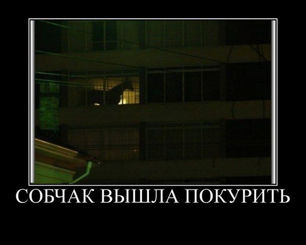 Михаил Исаев | Санкт-Петербург