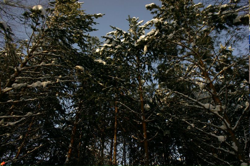 Андрей Ковиров | Анапа