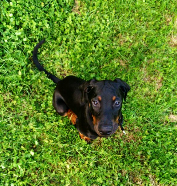 №5, Natascha Belenki, München №5, Natascha Belenki, München