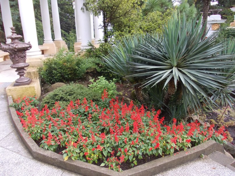 Дима Кондратьев | Пермь