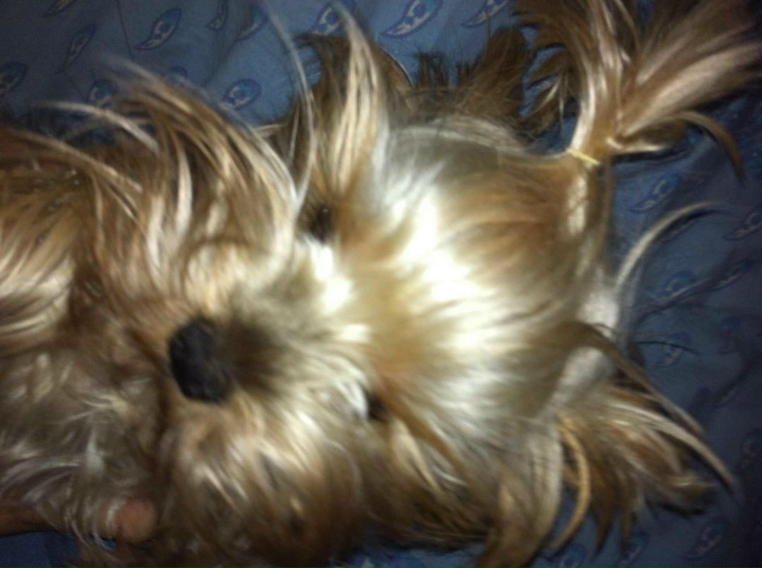 Юлия Наталенко | Санкт-Петербург