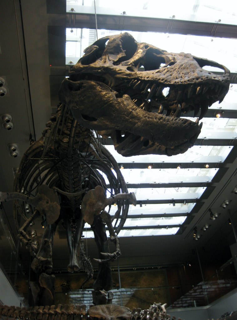 Елена Еремина | Барнаул