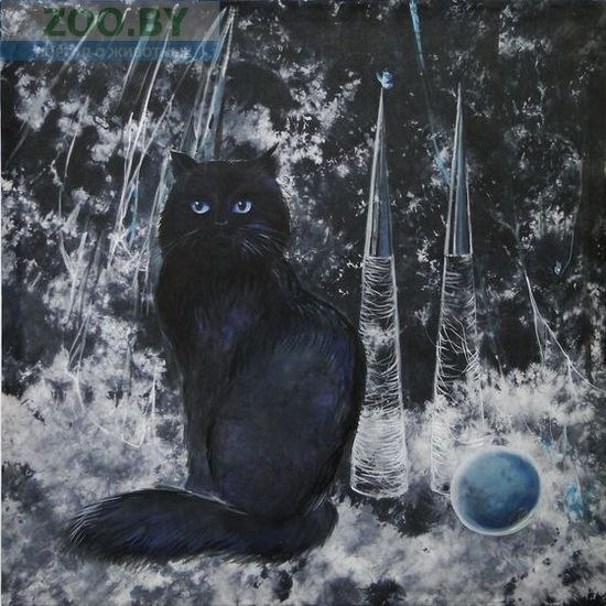 Lena Novik | Минск