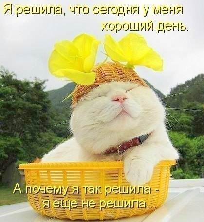 Елена Круглова | Краматорск