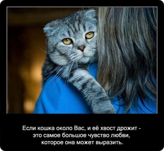 Ольга Банкова | Пенза