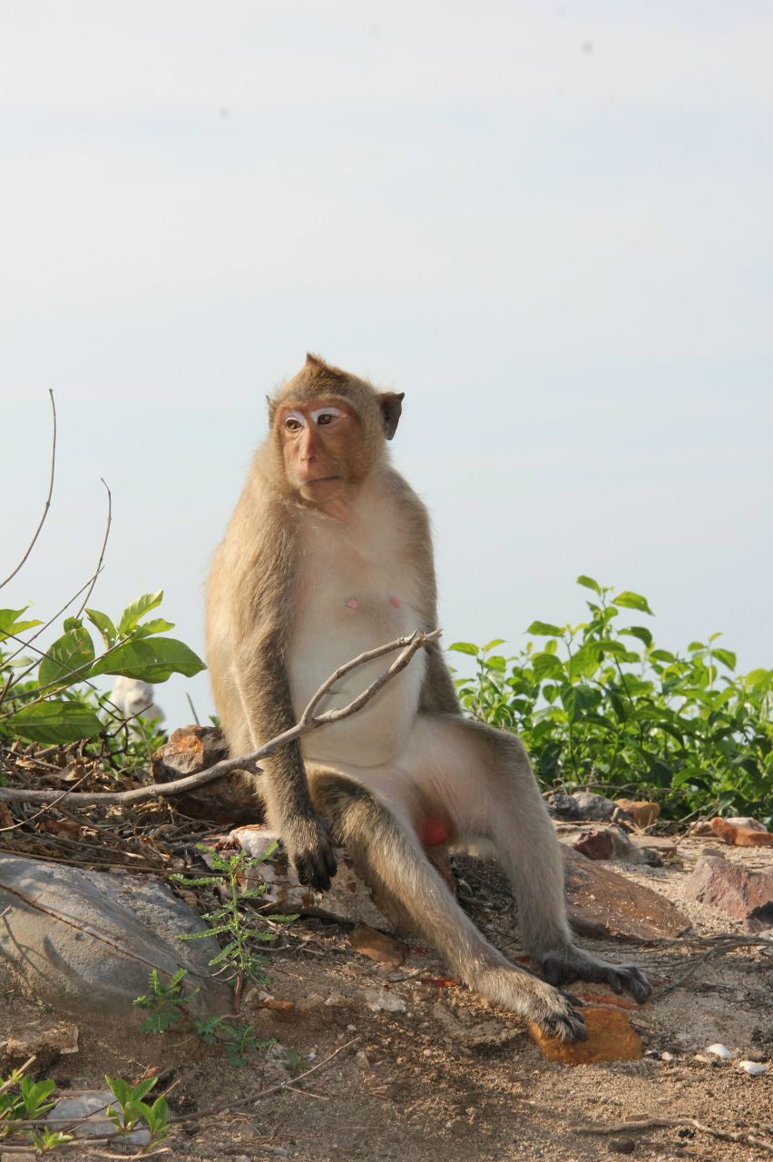 Людачка Игумнова | Вологда