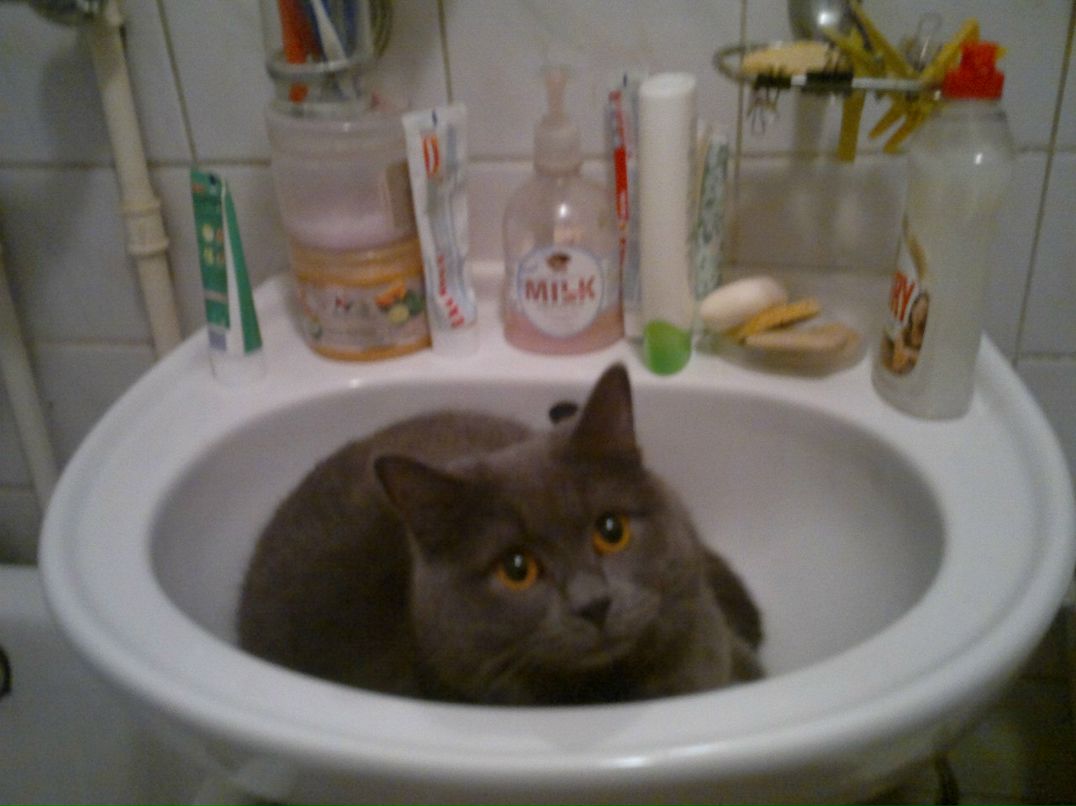 Александра Полковник | Алматы