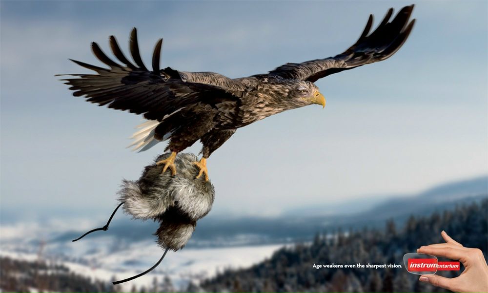 №66, Наталія Шейко, Киев №66, Наталія Шейко, Киев