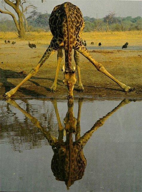 Ольга Мягких | Самара