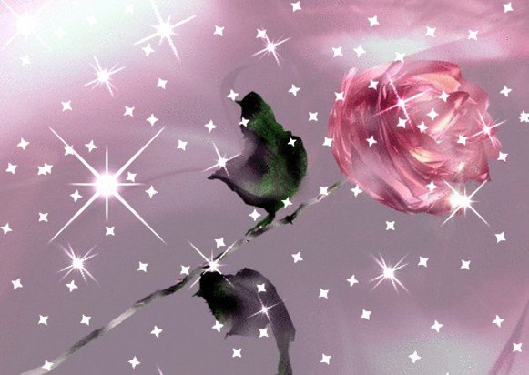 Анастасия Гурова | Ростов-на-Дону